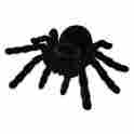 0190715 39140 Bead Retreat Scientific Toys Rc Tarantula Domestic Personal Robots 019071391405
