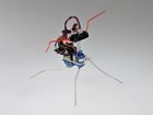 6604975600261 Unbranded-generic Dfrobot Mini Insectbot