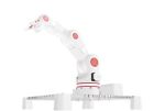 6axisbot Axis Robot Arm Robotic