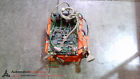 830-0529 Weltronic-technitron Welder Control Board