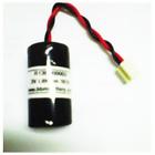R13b060003 Zingz Epson Battery Lithium