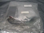 Novellus 02-164573-00 Assy, Stepper Motor, (nc), UDK5214NW, PK566BW-N10,408242. Fixed Price $1750.00.
