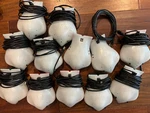 Lot Of 12 Birdbrain Finch Programming Robots With 11 Usb Cables. Fixed Price $44.99.